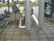 Banatski dvor slika39